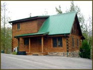 A Black Bear's Hideaway